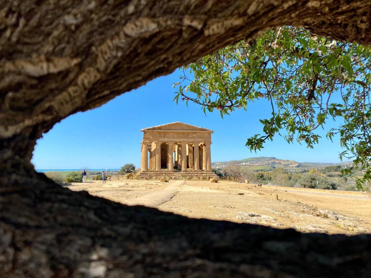 B&B Le Sorelle San Leone Bagian luar foto