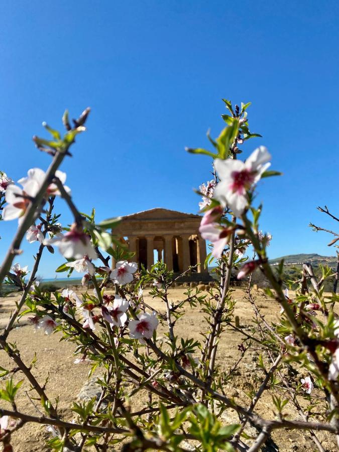 B&B Le Sorelle San Leone Bagian luar foto